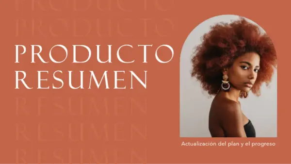 Presentación de resumen del producto brown modern simple