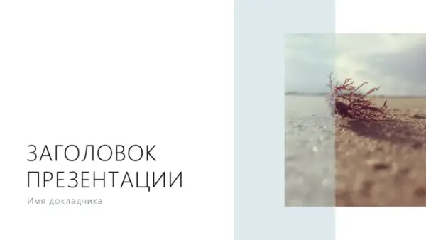 Презентация (изображение побережья) white modern-simple