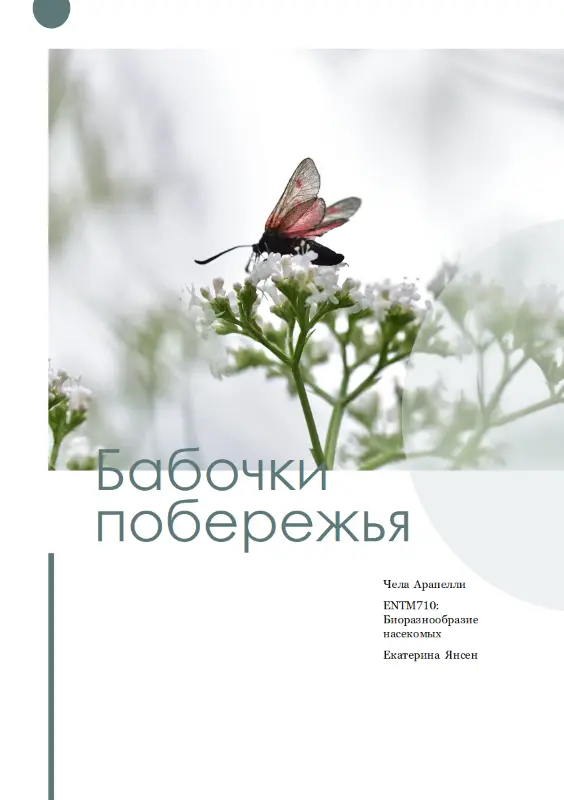 Отчет учащегося green modern simple