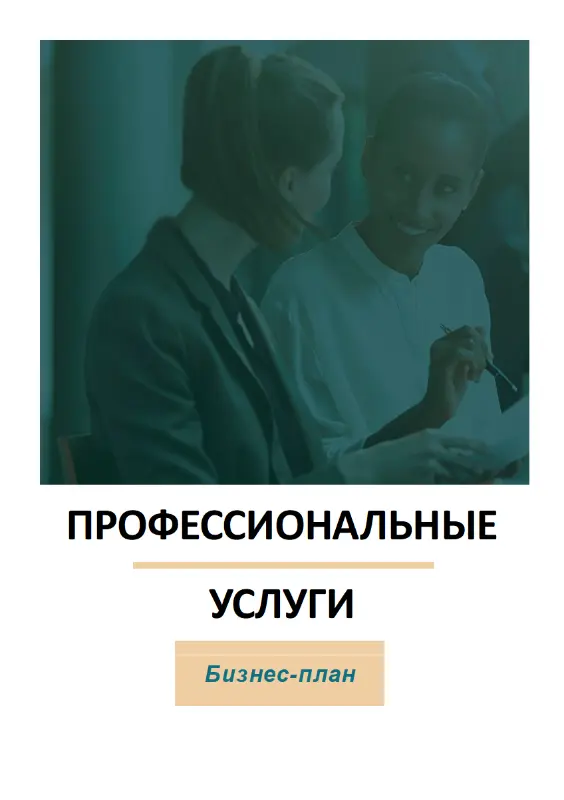 Бизнес-план предоставления профессиональных услуг blue modern-simple