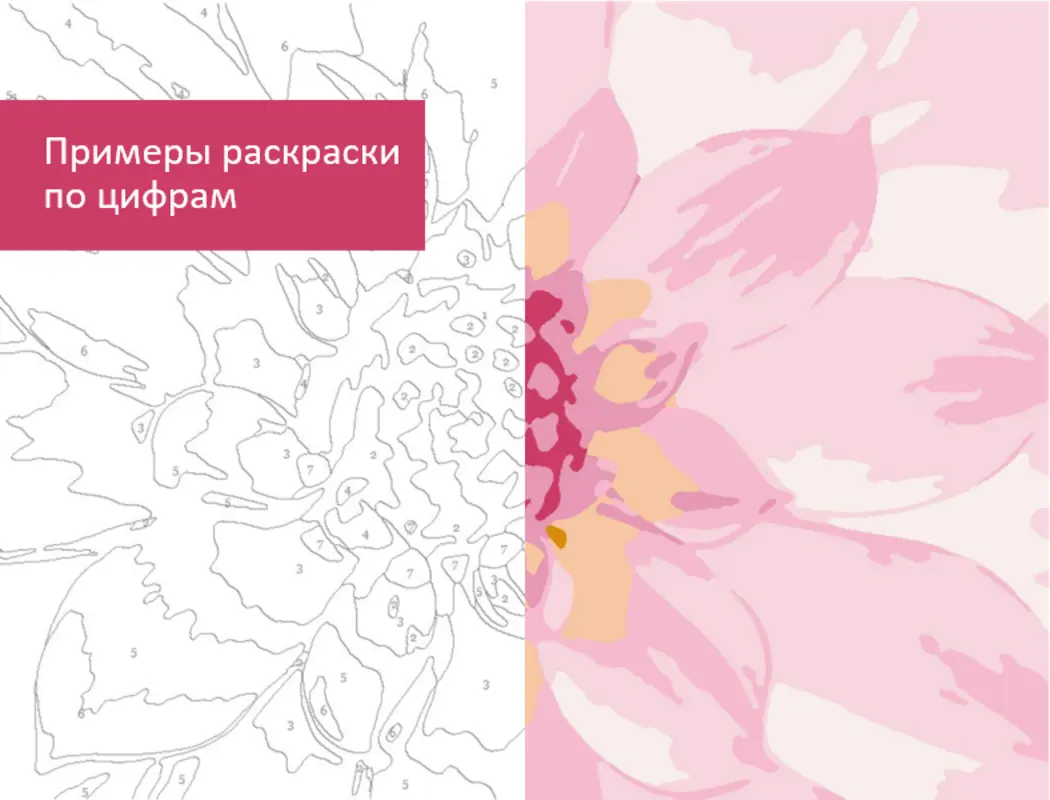 Примеры раскраски по цифрам modern simple